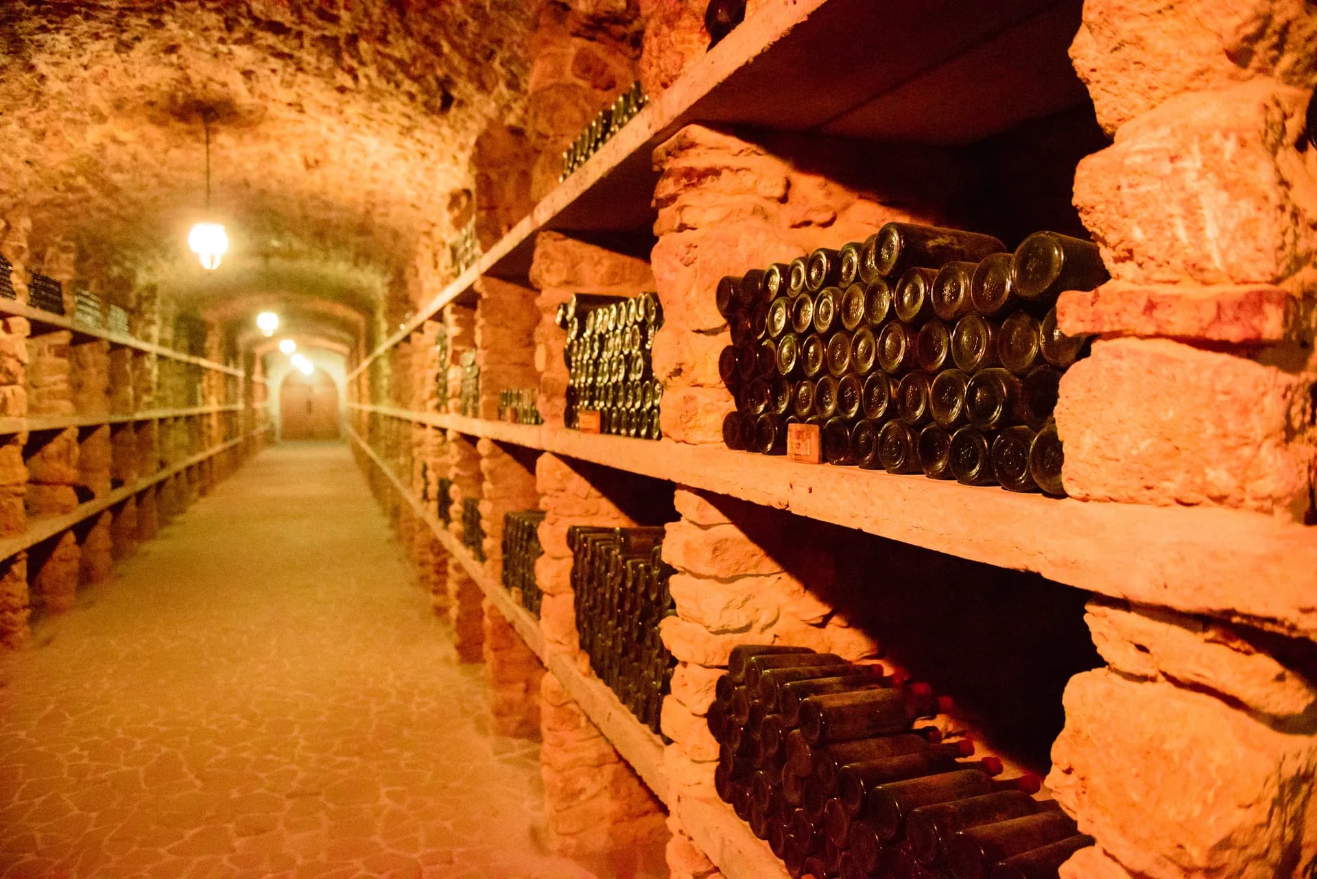 Strade del Vino in Italia: sette geografie lente da percorrere senza fretta 6