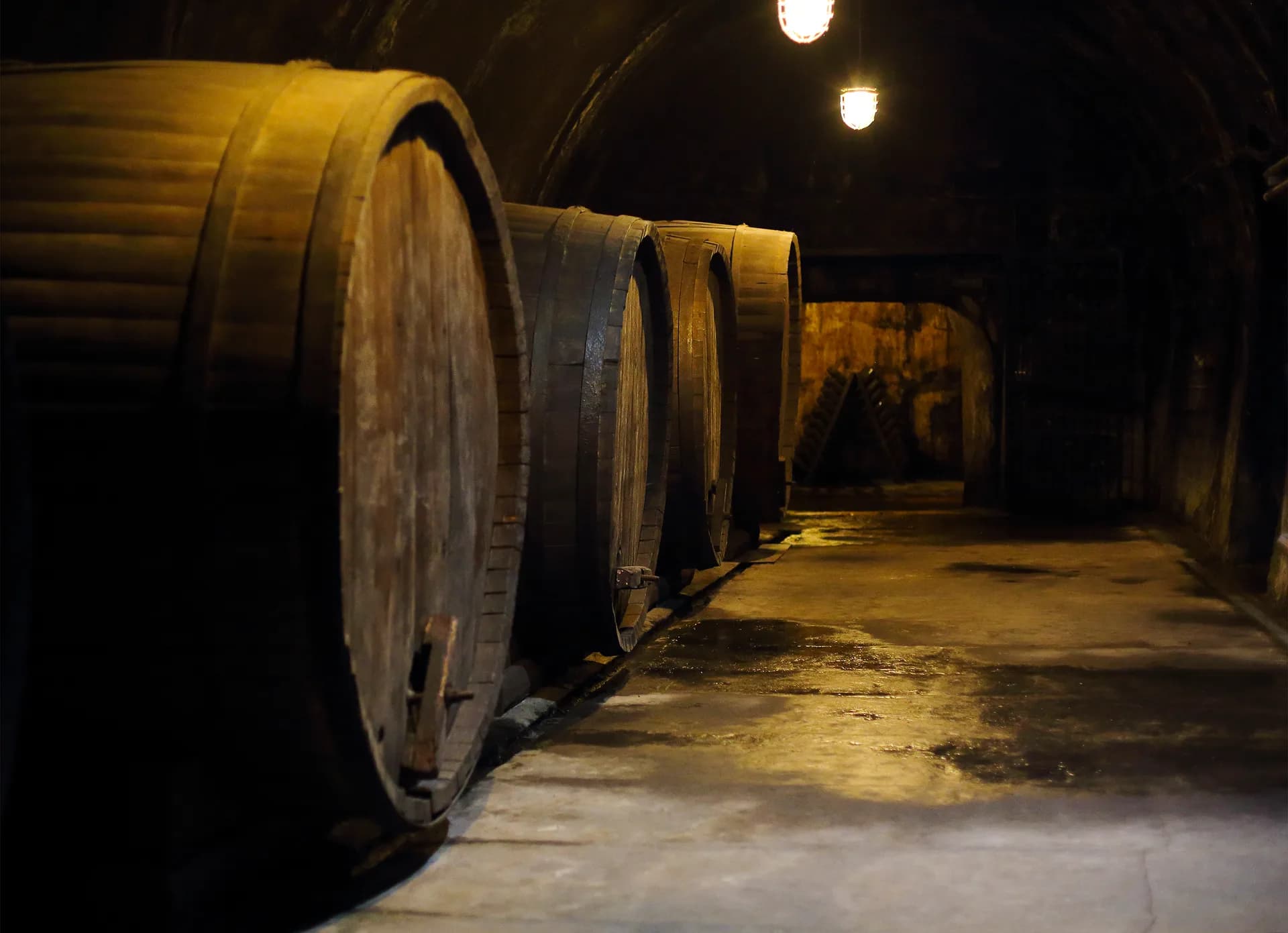 Strade del Vino in Italia: sette geografie lente da percorrere senza fretta 5