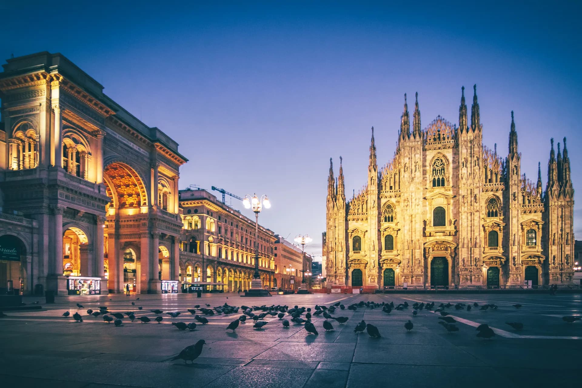 Bergamo Film Festival: Rassegna di cinema d'autore