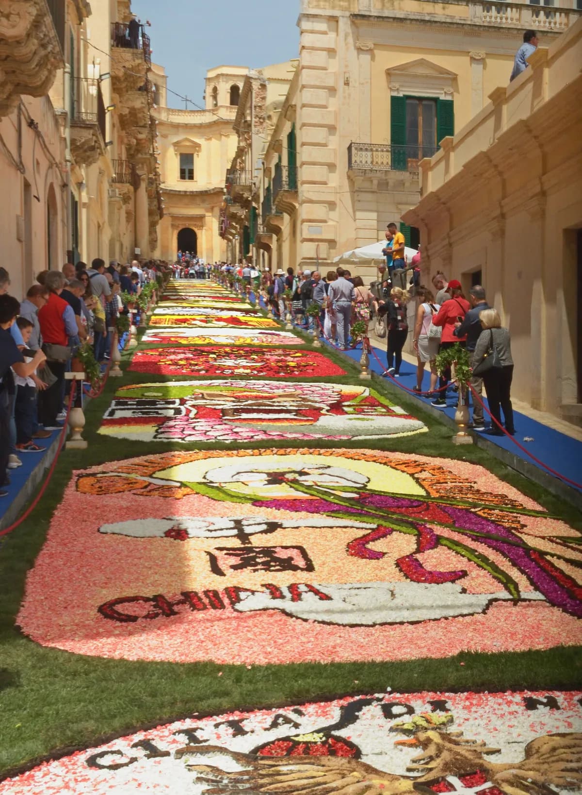 Infiorata di Noto 2026: 488 metri quadri di petali, una tecnica arrivata dal Lazio quarantasette anni fa, e un tema che racconta la cultura pop del Novecento