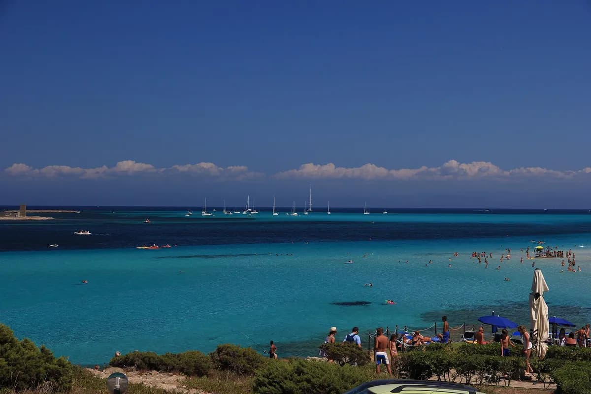 Stintino e Asinara: la spiaggia che la Repubblica volle proteggere nel 2017, e l'isola che fu carcere di massima sicurezza fino al 1998, dove ora vivono solo i suoi asini bianchi