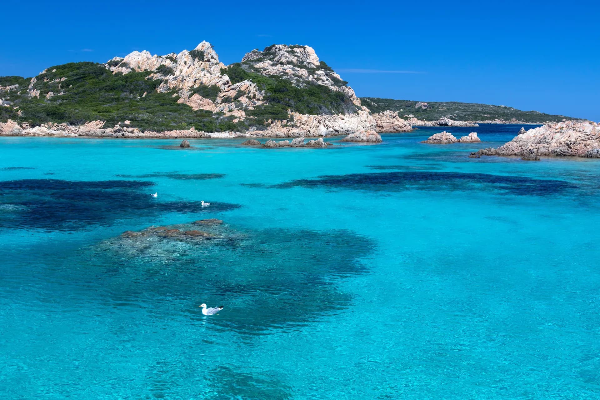Olbia Tech Summit 2026