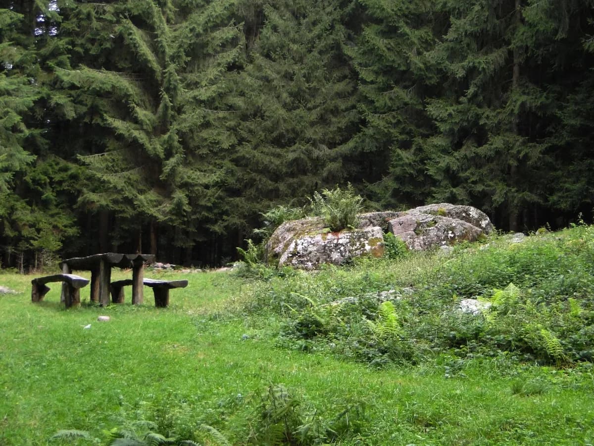 Val Sedornia: il masso degli antichi druidi nascosto in una valle laterale della Val Seriana, e il sentiero in tre ore di cammino per arrivarci